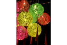 Dây lồng đèn đa sắc vải hoa Anh Đào 5m-12 bóng giá sỉ 160k