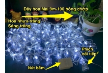 Dây đèn led hoa Mai màu trắng 9m-100 bóng chớp giá sỉ 120k